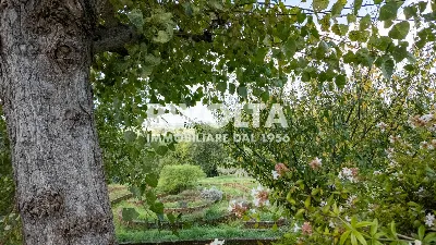 Villa in vendita a Collevecchio - foto 9