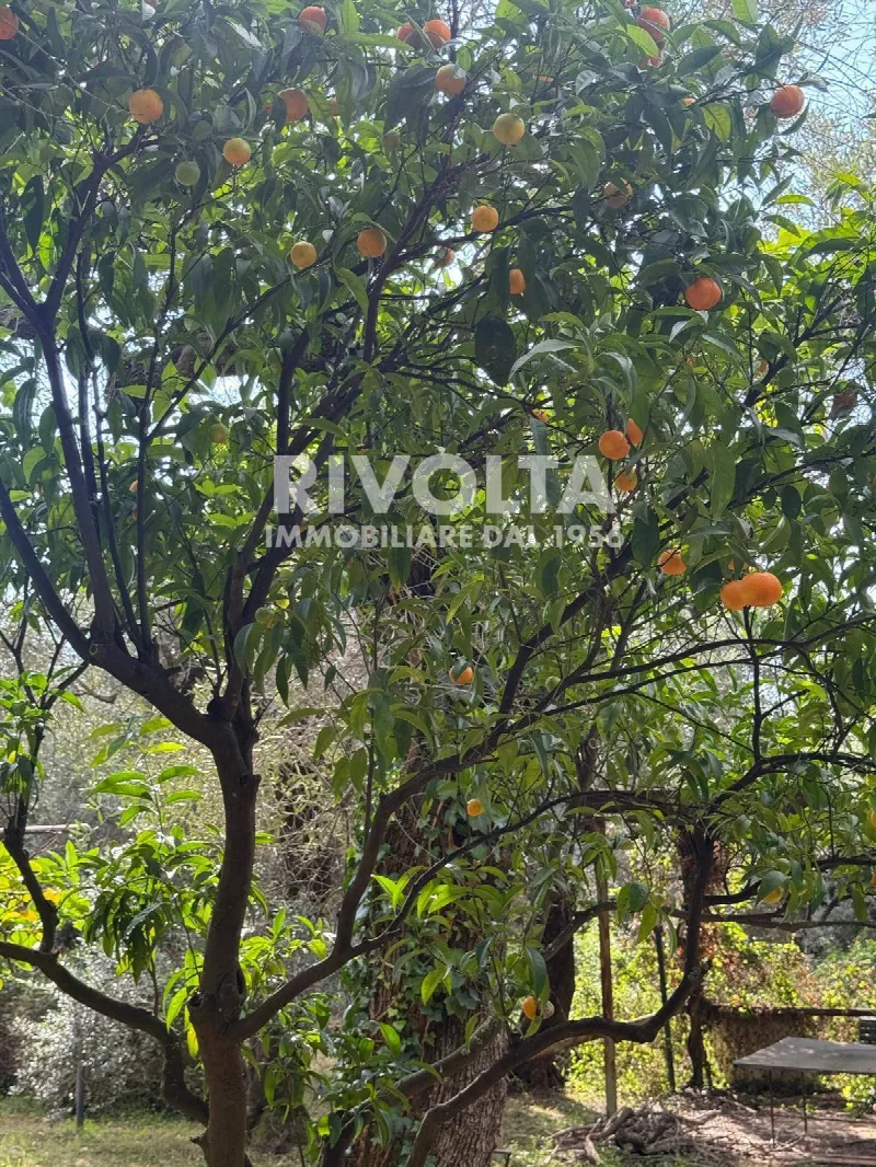 Villa in vendita a Sperlonga - foto 6