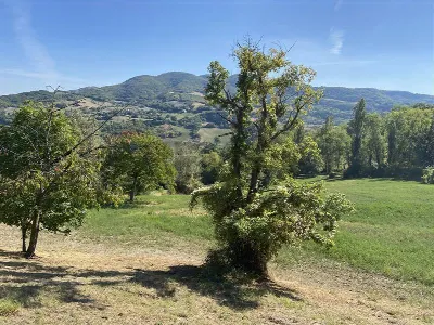 Rustico/Casale in vendita a Pellegrino Par... - foto 7