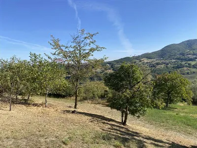 Rustico/Casale in vendita a Pellegrino Par... - foto 8