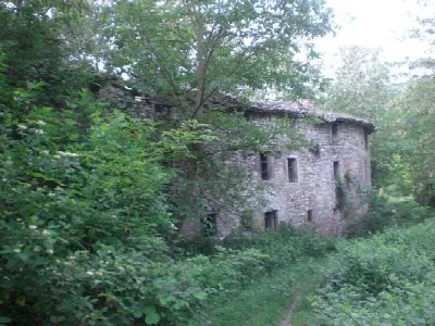 Rustico/Casale in vendita a Pellegrino Par... - foto 2