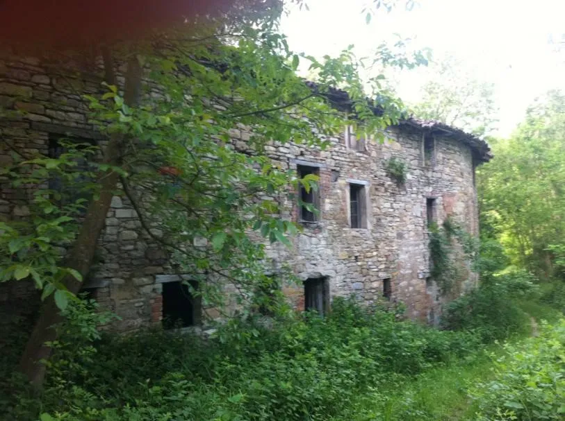 Rustico/Casale in vendita a Pellegrino Parmense - foto 3