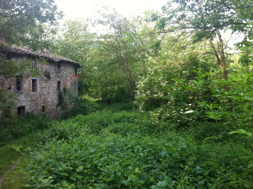 Rustico/Casale in vendita a Pellegrino Parmense - foto 4