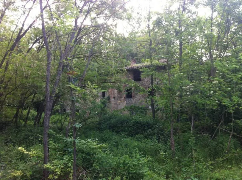 Rustico/Casale in vendita a Pellegrino Parmense - foto 5