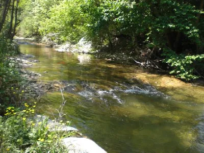 Rustico/Casale in vendita a Pellegrino Par... - foto 7