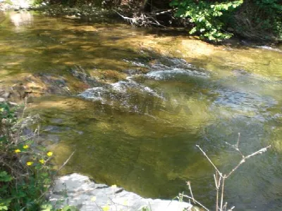 Rustico/Casale in vendita a Pellegrino Par... - foto 8