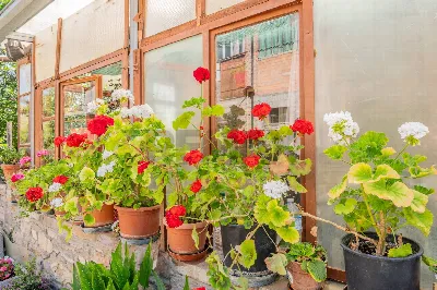 Casa Indipendente in vendita a Tizzano Val... - foto 7
