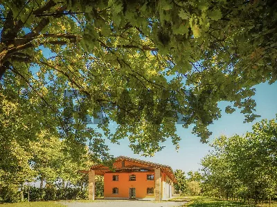 Rustico/Casale in vendita a Cavriago - foto 5