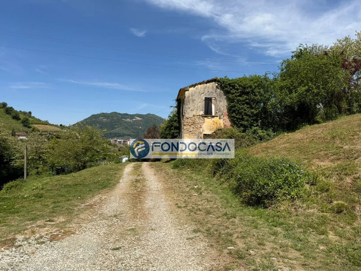 Rustico/Casale in vendita a Carrara, Perticata, Bonascola, Nazzano - foto 4