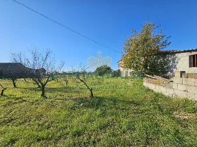 Rustico/Casale in vendita a Pignataro Magg... - foto 1