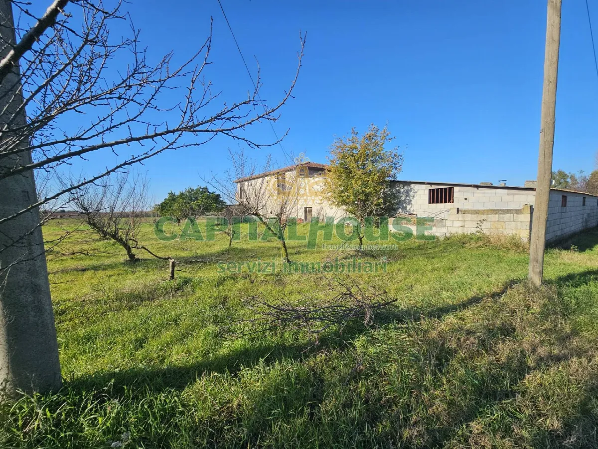Rustico/Casale in vendita a Pignataro Maggiore - foto 5