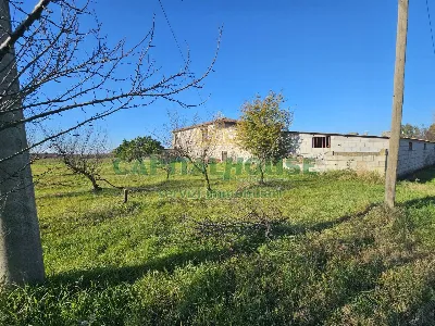 Rustico/Casale in vendita a Pignataro Magg... - foto 5