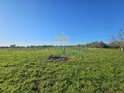 Rustico/Casale in vendita a Pignataro Magg... - foto 7