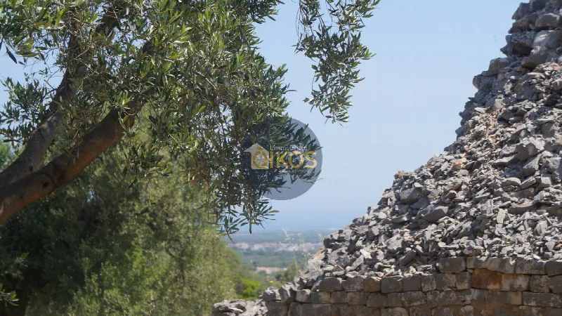 Rustico/Casale in vendita a Fasano - foto 1