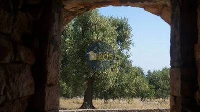 Rustico/Casale in vendita a Fasano - foto 10