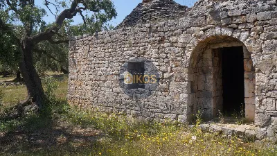 Rustico/Casale in vendita a Fasano - foto 3
