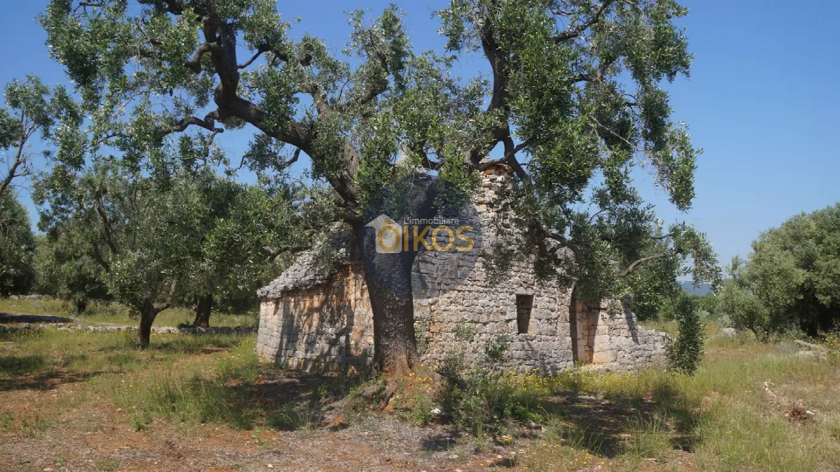 Rustico/Casale in vendita a Fasano - foto 4
