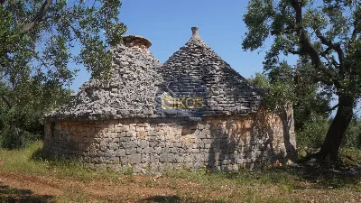 Rustico/Casale in vendita a Fasano - foto 7