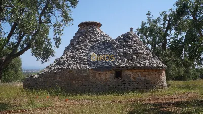 Rustico/Casale in vendita a Fasano - foto 8