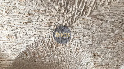 Rustico/Casale in vendita a Martina Franca - foto 10