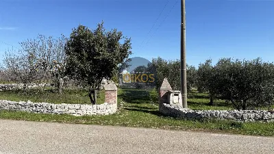 Rustico/Casale in vendita a Monopoli - foto 7