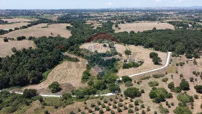 Rustico/Casale in vendita a Formello - foto 10