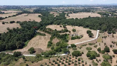 Rustico/Casale in vendita a Formello - foto 3