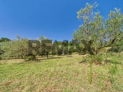 Rustico/Casale in vendita a Campagnano di ... - foto 10