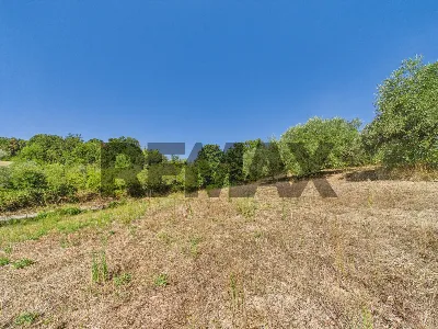 Rustico/Casale in vendita a Campagnano di ... - foto 3