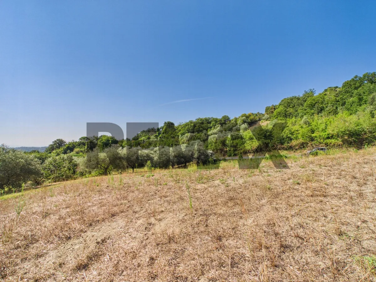 Rustico/Casale in vendita a Campagnano di Roma - foto 4