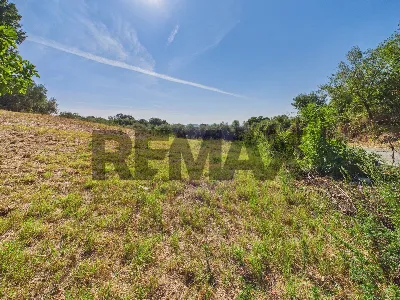 Rustico/Casale in vendita a Campagnano di ... - foto 6