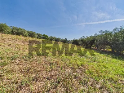 Rustico/Casale in vendita a Campagnano di ... - foto 7
