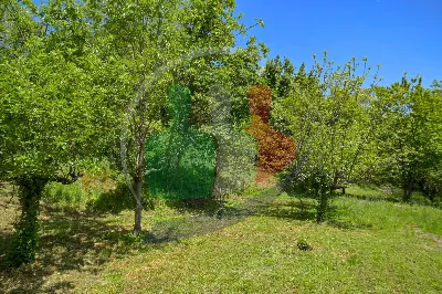 Rustico/Casale in vendita a Castellamonte - foto 9