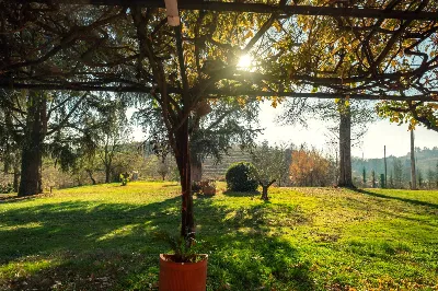 Villa in vendita a Nizza Monferrato - foto 10