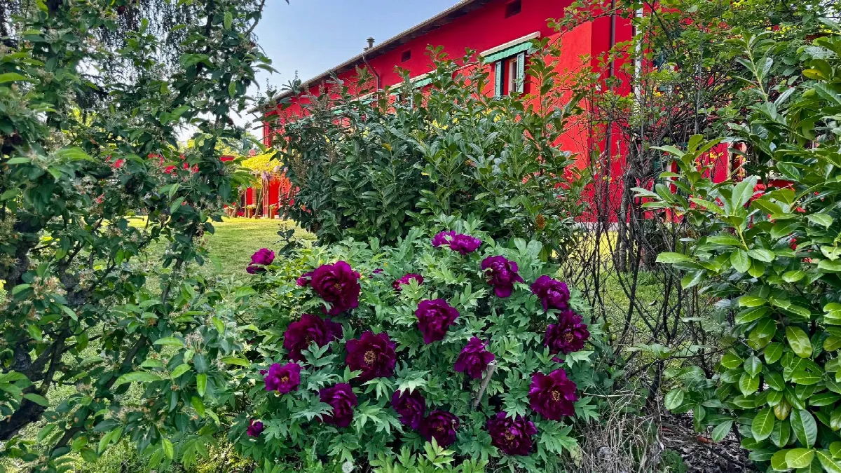 Villa in vendita a Nizza Monferrato - foto 2