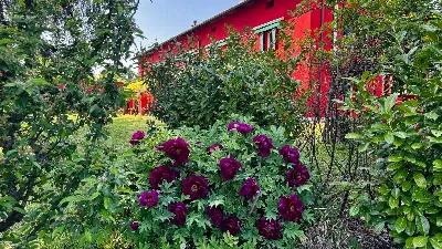 Villa in vendita a Nizza Monferrato - foto 2