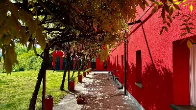 Villa in vendita a Nizza Monferrato - foto 4