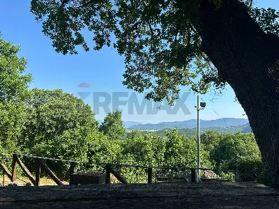 Rustico/Casale in vendita a Castel San Vin... - foto 3