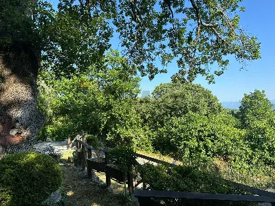 Rustico/Casale in vendita a Castel San Vin... - foto 8