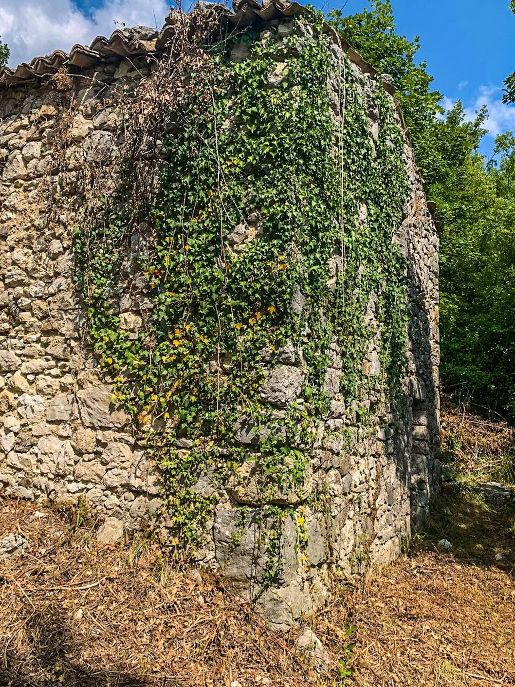 Rustico/Casale in vendita a Rocchetta a Volturno - foto 4
