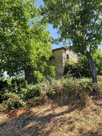 Rustico/Casale in vendita a Sepino - foto 6