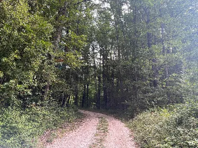 Villa in vendita a Civitella Alfedena - foto 4