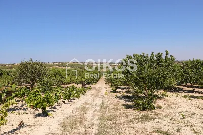 Rustico/Casale in vendita a Noto - foto 3