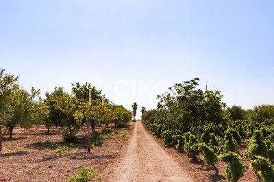 Rustico/Casale in vendita a Noto - foto 7