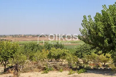 Rustico/Casale in vendita a Noto - foto 9