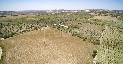 Rustico/Casale in vendita a Noto - foto 10