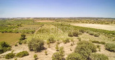 Rustico/Casale in vendita a Noto - foto 2