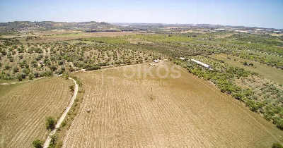 Rustico/Casale in vendita a Noto - foto 3