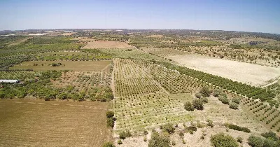 Rustico/Casale in vendita a Noto - foto 4