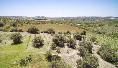 Rustico/Casale in vendita a Noto - foto 7